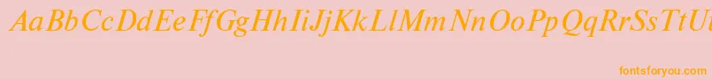 NewtoncttItalic Font – Orange Fonts on Pink Background