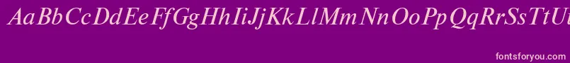 NewtoncttItalic Font – Pink Fonts on Purple Background