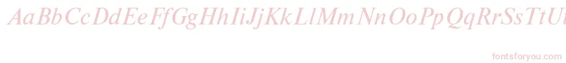 NewtoncttItalic Font – Pink Fonts on White Background