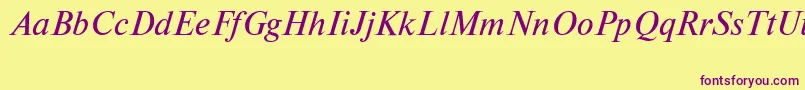 NewtoncttItalic Font – Purple Fonts on Yellow Background