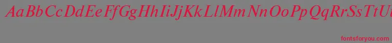 NewtoncttItalic Font – Red Fonts on Gray Background