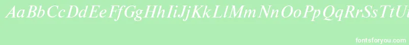 NewtoncttItalic Font – White Fonts on Green Background