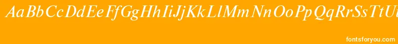 NewtoncttItalic-fontti – valkoiset fontit oranssilla taustalla