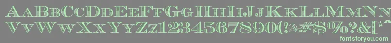 Ecuyerr0902 Font – Green Fonts on Gray Background