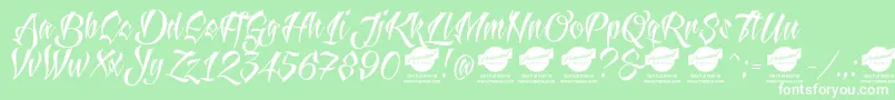 More about AntlersDemo Font AntlersDemo Font – White Fonts on Green Background