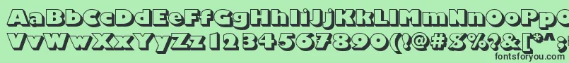 ChantillyDisplayShadedRegular Font – Black Fonts on Green Background