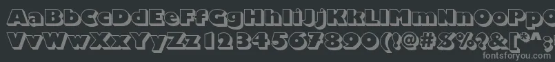 ChantillyDisplayShadedRegular Font – Gray Fonts on Black Background