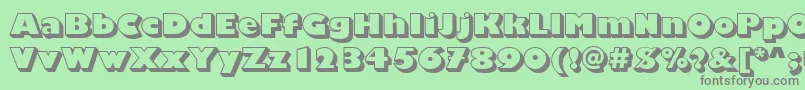 ChantillyDisplayShadedRegular Font – Gray Fonts on Green Background