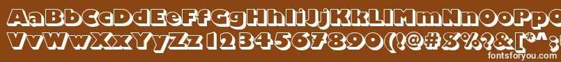 ChantillyDisplayShadedRegular Font – White Fonts on Brown Background