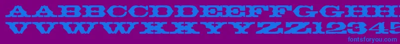 ThunderbirdRegularDb Font – Blue Fonts on Purple Background