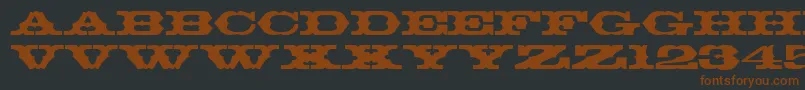 ThunderbirdRegularDb Font – Brown Fonts on Black Background