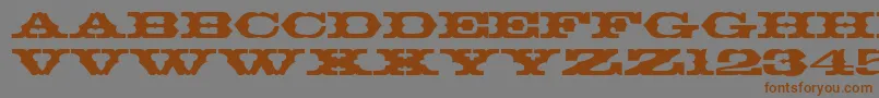 ThunderbirdRegularDb-Schriftart – Braune Schriften auf grauem Hintergrund