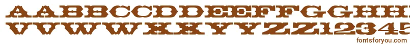 ThunderbirdRegularDb-Schriftart – Braune Schriften auf weißem Hintergrund