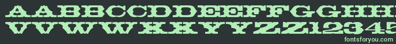 ThunderbirdRegularDb Font – Green Fonts on Black Background