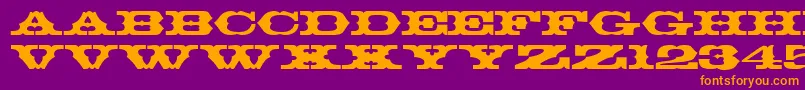 ThunderbirdRegularDb Font – Orange Fonts on Purple Background