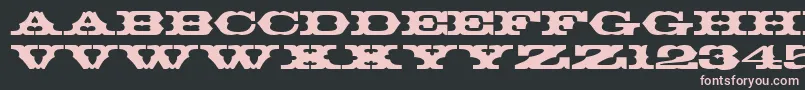 ThunderbirdRegularDb Font – Pink Fonts on Black Background