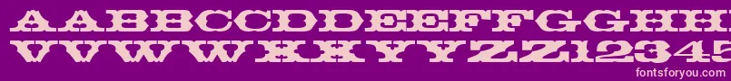 ThunderbirdRegularDb Font – Pink Fonts on Purple Background