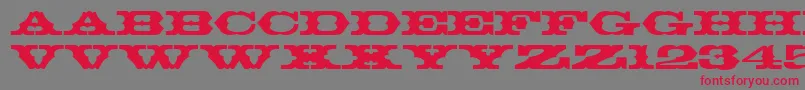 ThunderbirdRegularDb Font – Red Fonts on Gray Background