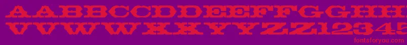 ThunderbirdRegularDb Font – Red Fonts on Purple Background