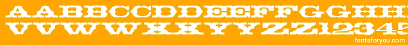 ThunderbirdRegularDb Font – White Fonts on Orange Background