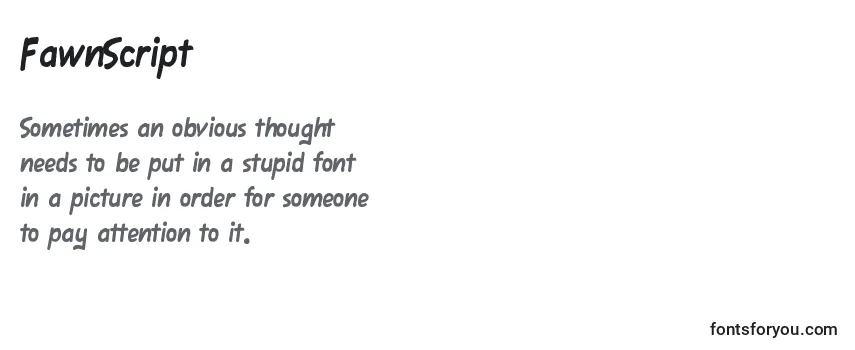 Review of the FawnScript Font