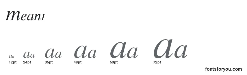 Meani Font Sizes