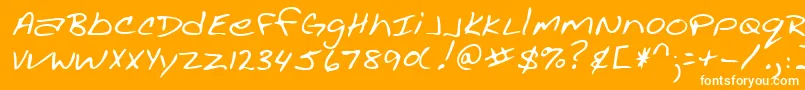 Lehn002 Font – White Fonts on Orange Background