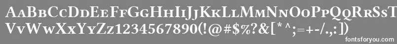 フォントLinlibertineAbs – 灰色の背景に白い文字