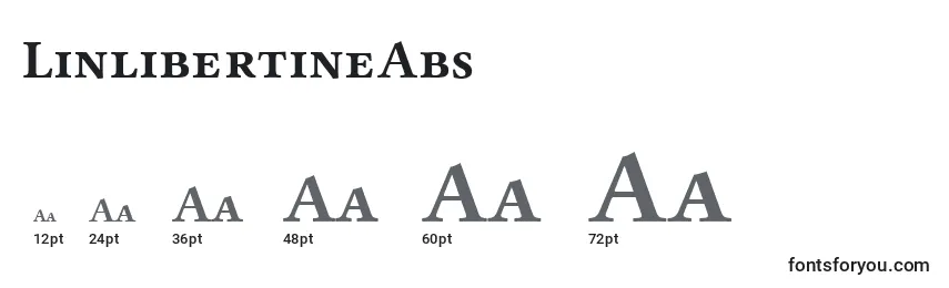 Размеры шрифта LinlibertineAbs
