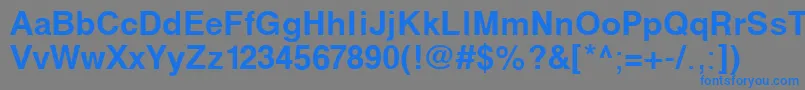 SvobodaBold Font – Blue Fonts on Gray Background
