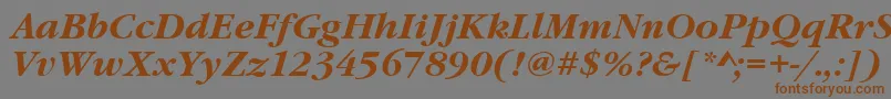 GaramonditcteeBoldItalic Font – Brown Fonts on Gray Background