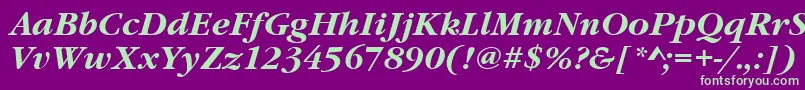 GaramonditcteeBoldItalic Font – Green Fonts on Purple Background