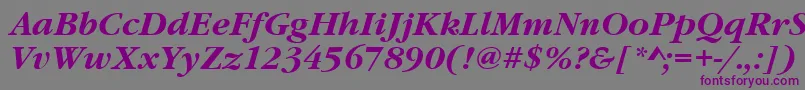 GaramonditcteeBoldItalic Font – Purple Fonts on Gray Background