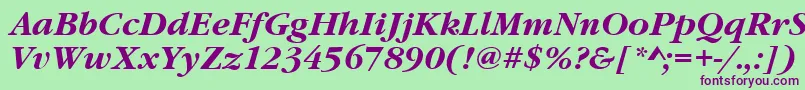 GaramonditcteeBoldItalic Font – Purple Fonts on Green Background