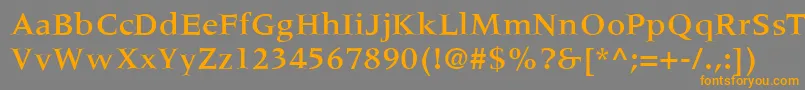 フォントMeridienLtMedium – オレンジの文字は灰色の背景にあります。