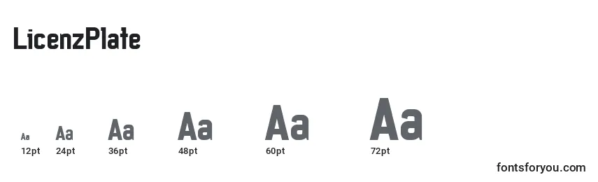 LicenzPlate Font Sizes