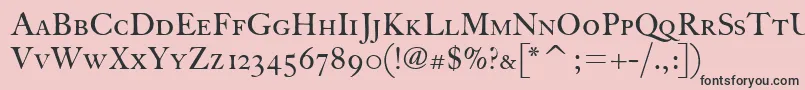 FcaslonthirtyscitcTt Font – Black Fonts on Pink Background