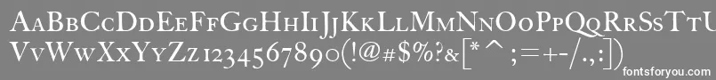 FcaslonthirtyscitcTt Font – White Fonts on Gray Background