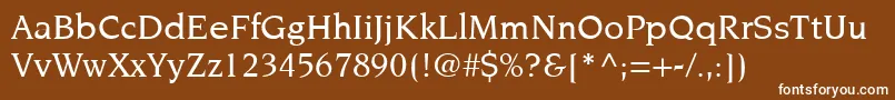 ItcNovareseLtMedium Font – White Fonts on Brown Background