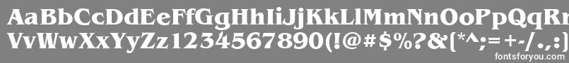 BenjaminBoldRegular Font – White Fonts on Gray Background