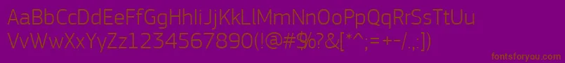 PfsquaresansproLight Font – Brown Fonts on Purple Background