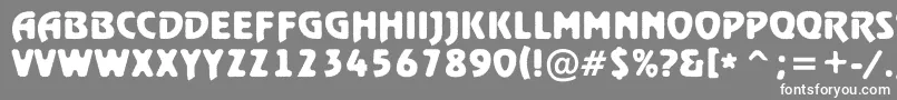 RewindertitulrghBold Font – White Fonts on Gray Background