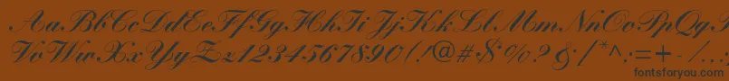 WynnerockscriptBlack Font – Black Fonts on Brown Background