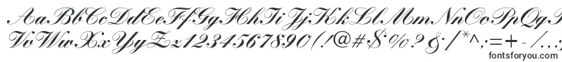 Шрифт WynnerockscriptBlack – элегантные шрифты