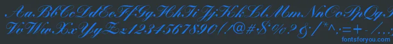 More about WynnerockscriptBlack Font WynnerockscriptBlack Font – Blue Fonts on Black Background