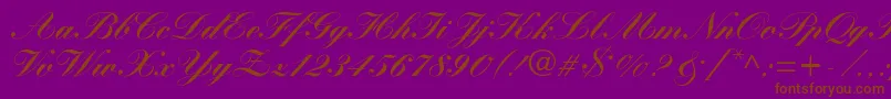 WynnerockscriptBlack-Schriftart – Braune Schriften auf violettem Hintergrund