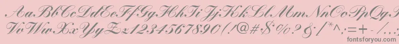 WynnerockscriptBlack Font – Gray Fonts on Pink Background