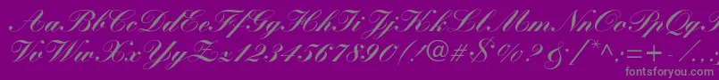 More about WynnerockscriptBlack Font WynnerockscriptBlack Font – Gray Fonts on Purple Background