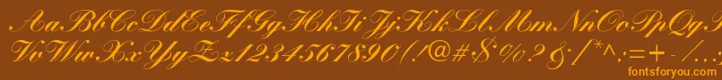 More about WynnerockscriptBlack Font WynnerockscriptBlack Font – Orange Fonts on Brown Background