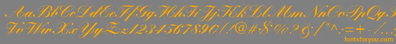 フォントWynnerockscriptBlack – オレンジの文字は灰色の背景にあります。